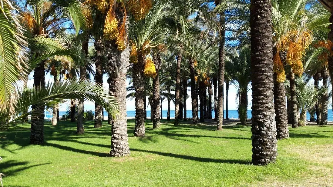 Las Plumas Beach Torremolinos